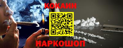 тгк Кингисепп