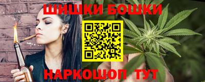 тгк Кингисепп