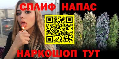 тгк Кингисепп