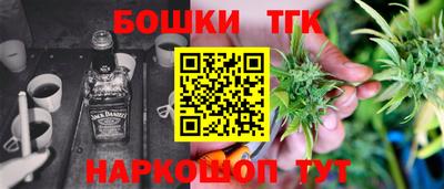 тгк Кингисепп