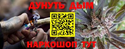 тгк Кингисепп