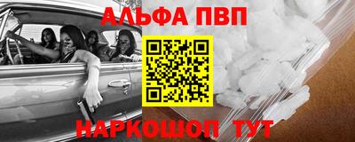тгк Кингисепп