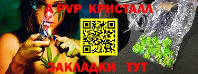 тгк Кингисепп