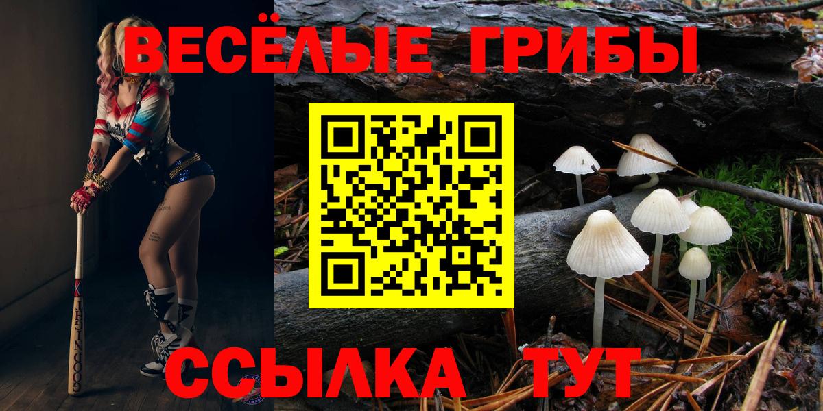 наркота  Вход с VPN  Благовещенск  Псилоцибиновые грибы мицелий 