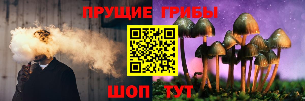 Галлюциногенные грибы GOLDEN TEACHER Благовещенск